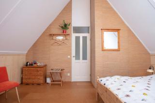 Vegan B&B De Groene Mus - 5