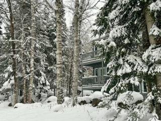 Le Rétro Shack à Mont-Tremblant - 9