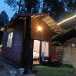 Shiv Forest Villas - Pauri - 9