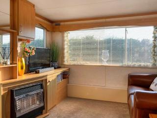 Goldfinch - Uk48551 - Colchester - 0