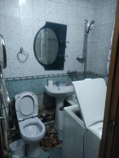 Apartment on the Abay avenue house#48 - Alma-Ata - 7