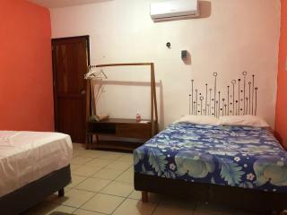 Casa Ficus - Bacalar - 3
