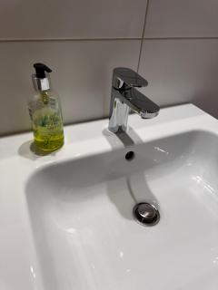 Kleine, nette Ferienwohnung, nahe Lift! - Wangle - 4