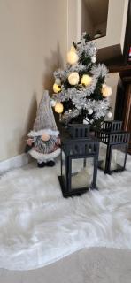 Holiday home Tavullia - 2