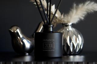 Luxury Renovated Ground Floor 1BR Suite - Best of the Best - Historical Centre - 2