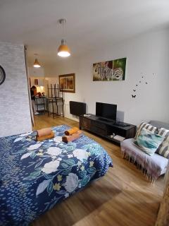 appartement renové , quartier historique du panier , centre-ville - Marseille - 8