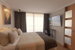 Ruffo Apartments Suite - Santiago - 2