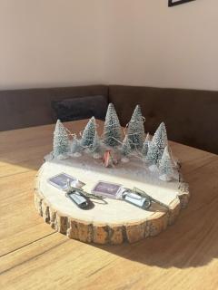 Berghaus Traumblick - Bad Kleinkirchheim - 7
