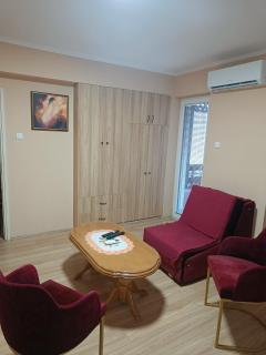 Apartman Putnik - 8