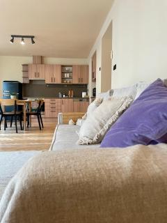 Amazing Apartment Wolkerova - Olomouc - 1