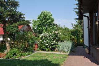 Agroturystyka pod Czarną Sosną - 7