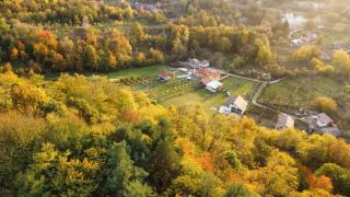 Casa Roșca - - 7