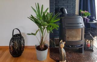 Stunning Home In Søgne With Wifi - Søgne - 5