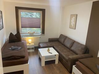 FeWo Wieko Plauen H1 3 OG links Family Appartement XL - Plauen - 9