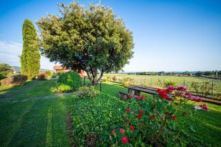Agriturismo L'Elce - Bolsena - 2