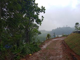 Tea Haven homestay - Vagamon - 4