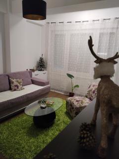 Apartman IJA - Banja Luka - 5