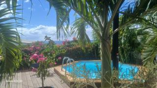 Les Gites Capra - Villa Aiméandre piscine et Spa - Bouillante - 8