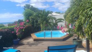 Les Gites Capra - Villa Aiméandre piscine et Spa - Bouillante - 9