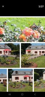 La p'etit maison rose - - 2