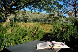 Agriturismo Il Giardino - Pontassieve - 1
