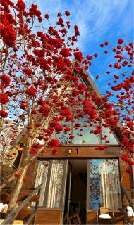 Villa Kazbegi Cottages - Kasbegi - 6