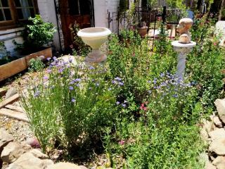 Cottage on Roux - Smithfield - 1