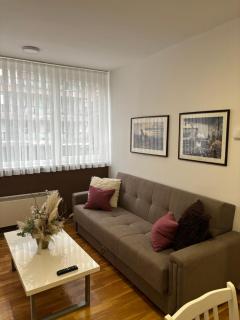 Apartman Zotović - Sarajevo - 5