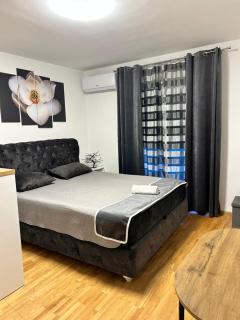 Apartman Sneznik - Vrnjačka Banja - 3