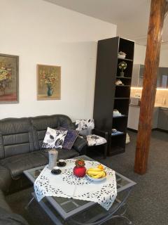 Apartmán Veleslavínova - 7