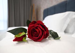 Hotel La Rosa - - 6