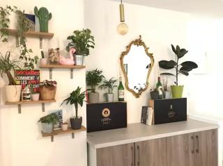 La parenthèse à Bordeaux - Pellegrin et Magistrature - 7