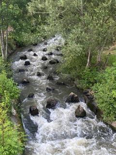 Les rives du Lay gîte rochejaquelein - Le Boupère - 3