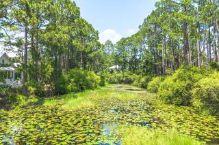 Elegance On Eastern Lake by Stay on 30A- Pool, Bikes, Golf Cart - Seagrove Beach - 4