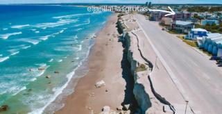 El Jarillal - 8