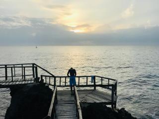 Room in Villa - 38m2 Turtle Suite in a 560 m2 Villa, Indian Ocean View - Shimoni - 9