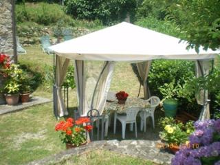 Campomaggio - Pistoia - 3