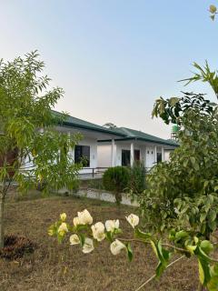 Tiger Wildlife Resort - Bharatpur - 4