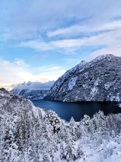 Fjellhagen - Geirangerfjord view - Hellesylt - 8
