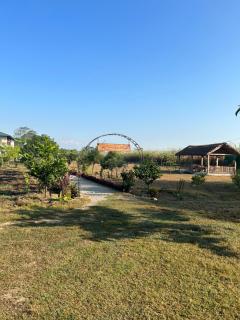 Tiger Wildlife Resort - Bharatpur - 8