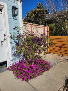 Beautiful ! Home Away from Home - 8