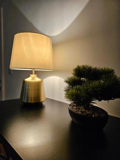 Central Chambers Suites - Suite 1 - 3
