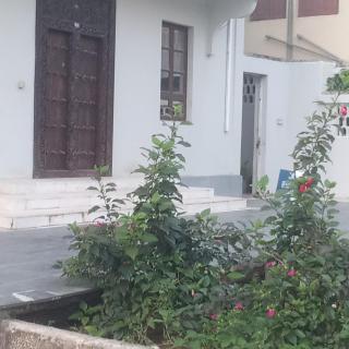 Daddy cool apartment - Zanzibar City - 8