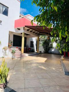Geranios - Città di Oaxaca - 8