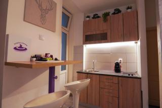 Purple - Belgrado - 6