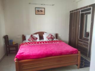 Ooty mountain cottage - Ooty - 4