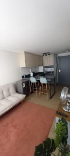 Lindo Depto con check out gratis! - Santiago - 8