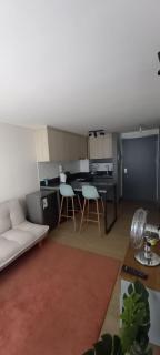 Lindo Depto con check out gratis! - Santiago - 1