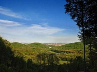 Wienerwaldblick - Mauerbach - 7