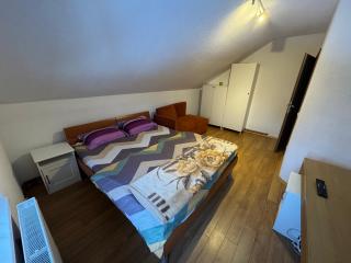 Villa Alpina Brezovice - 3